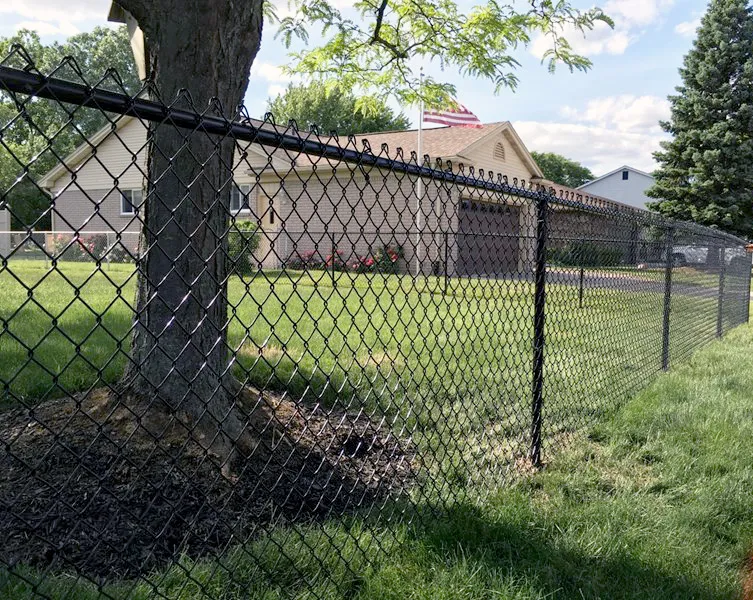 Standard galvanized chain link fence