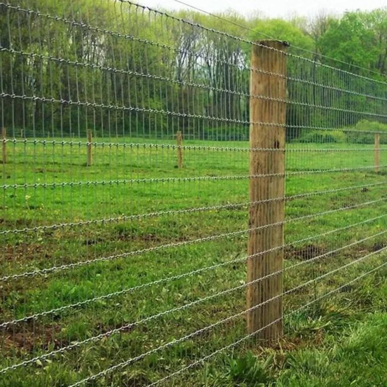 Steel wire cattle fencing field