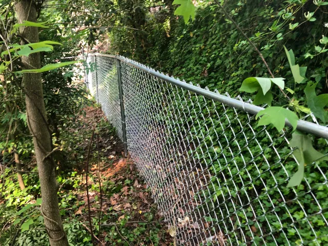 Galvanized vinyl-coated chain link fence