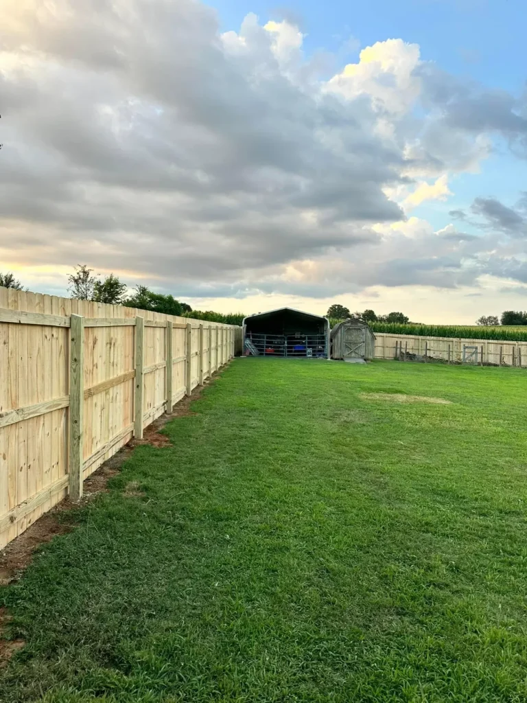 Wooden panels for side fence